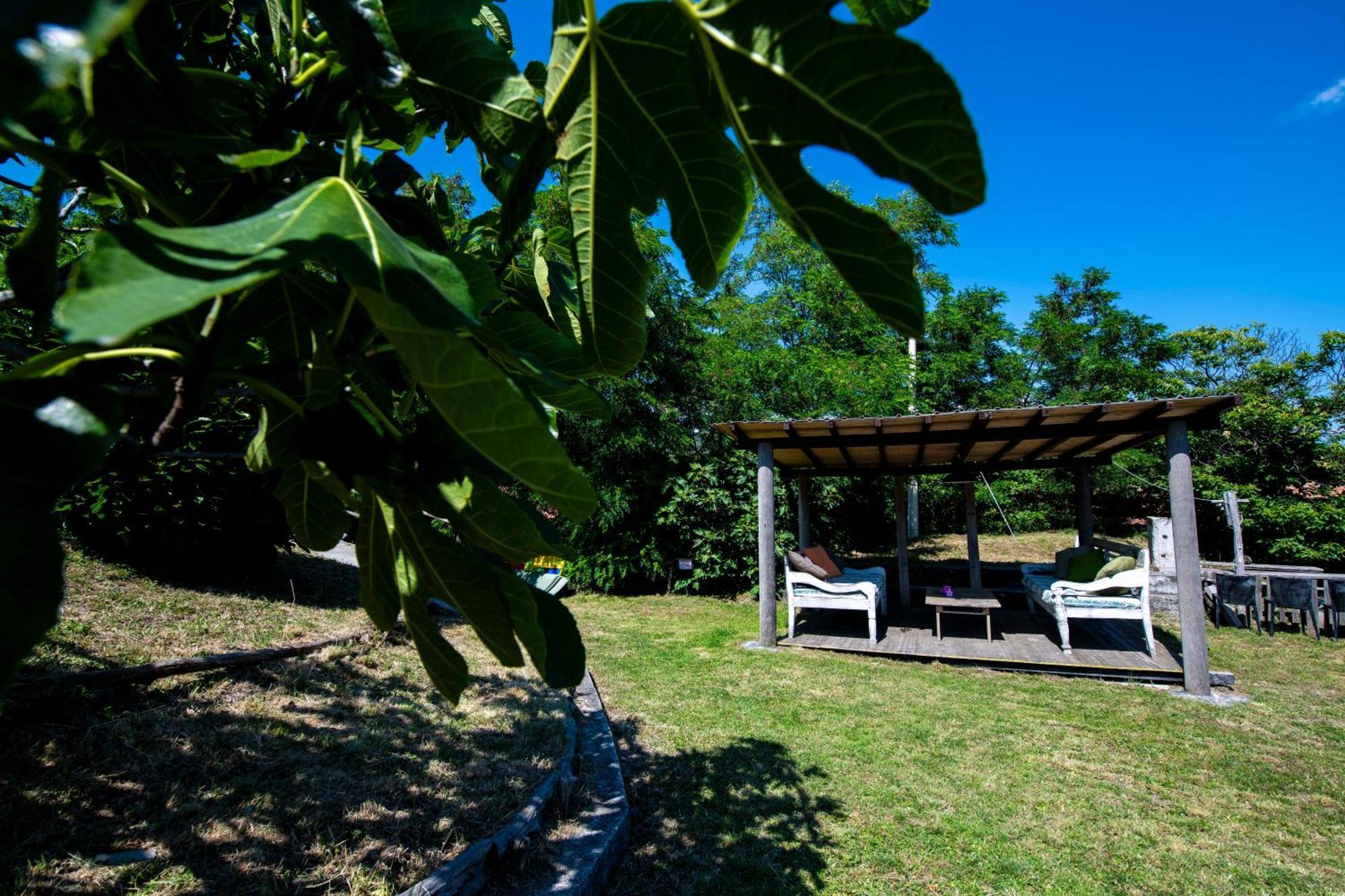 211 - Appartamento Acacia, Terrazza Giardino E Piscina Карро Экстерьер фото