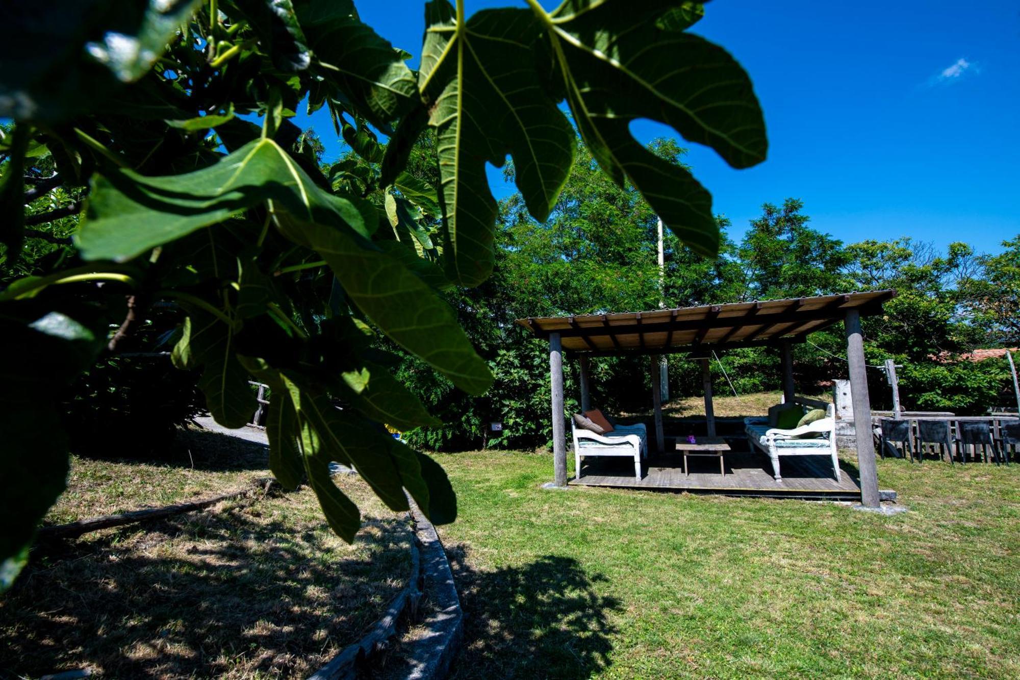 211 - Appartamento Acacia, Terrazza Giardino E Piscina Карро Экстерьер фото